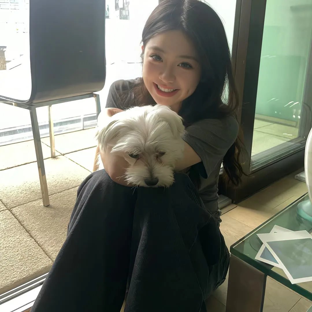 小猪进城